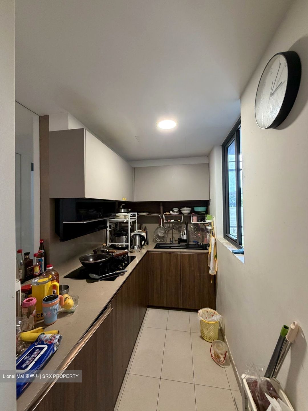 JadeScape (D20), Condominium #559472101